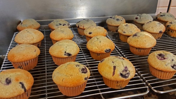 fresh baked muffins